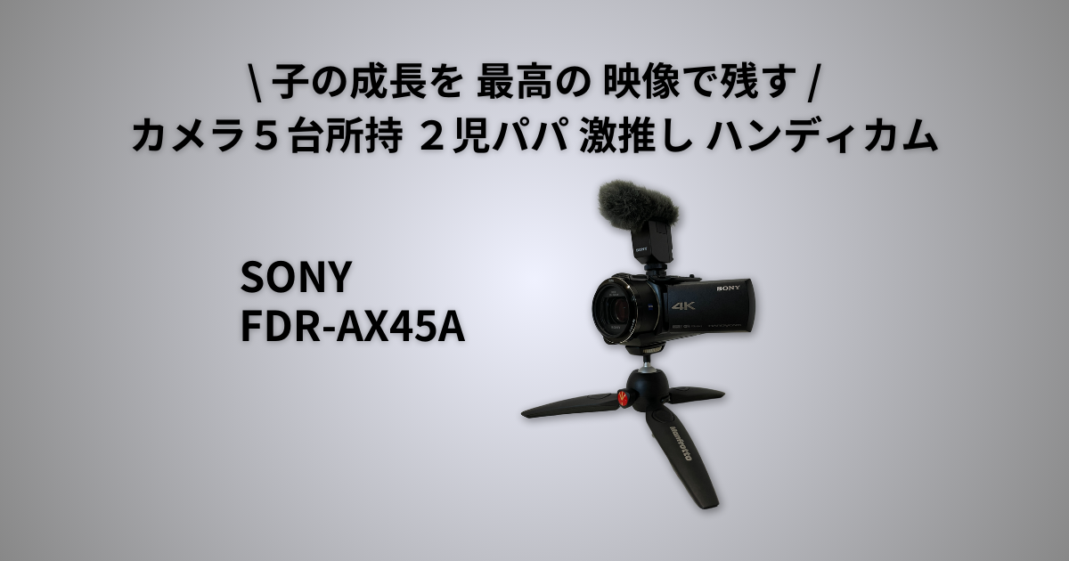 SONY FDR-AX60 sonyガンマイクセット - ビデオカメラ